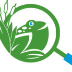 ODC_Logo_Frog_Mac_Glass-website(1) (1) ODC_Logo_Frog_Mac_Glass-website(1) (1)