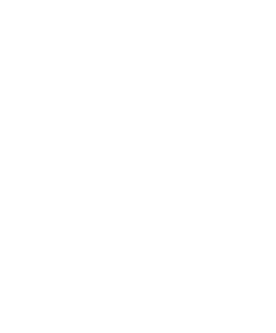 engedi logo pulled from online