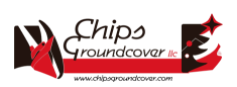 506-Chips 506-Chips