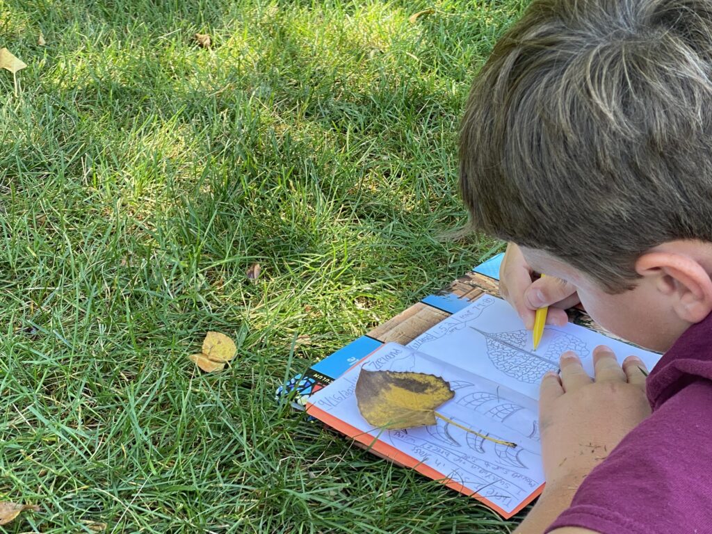 IMG_8595 (1) IMG_8595 (1)